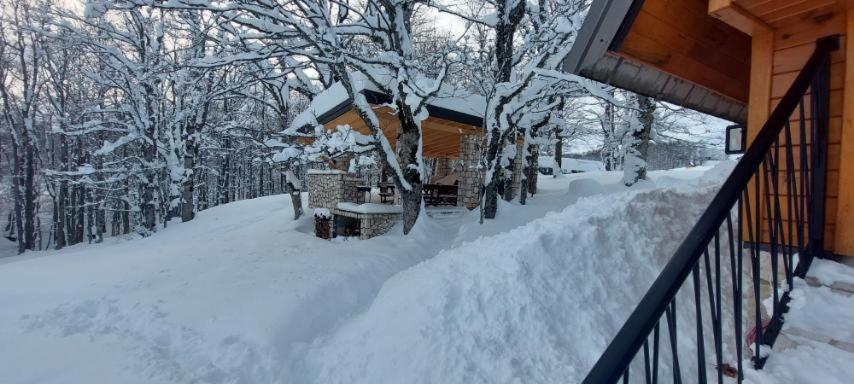 Vila Sun forest Žabljak Exterior foto
