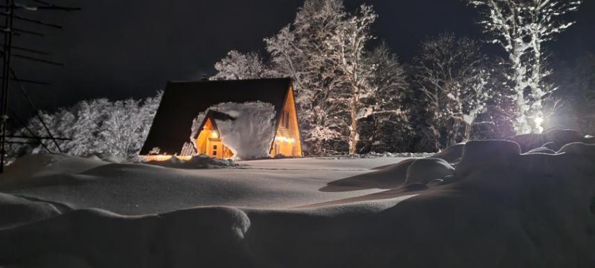 Vila Sun forest Žabljak Exterior foto