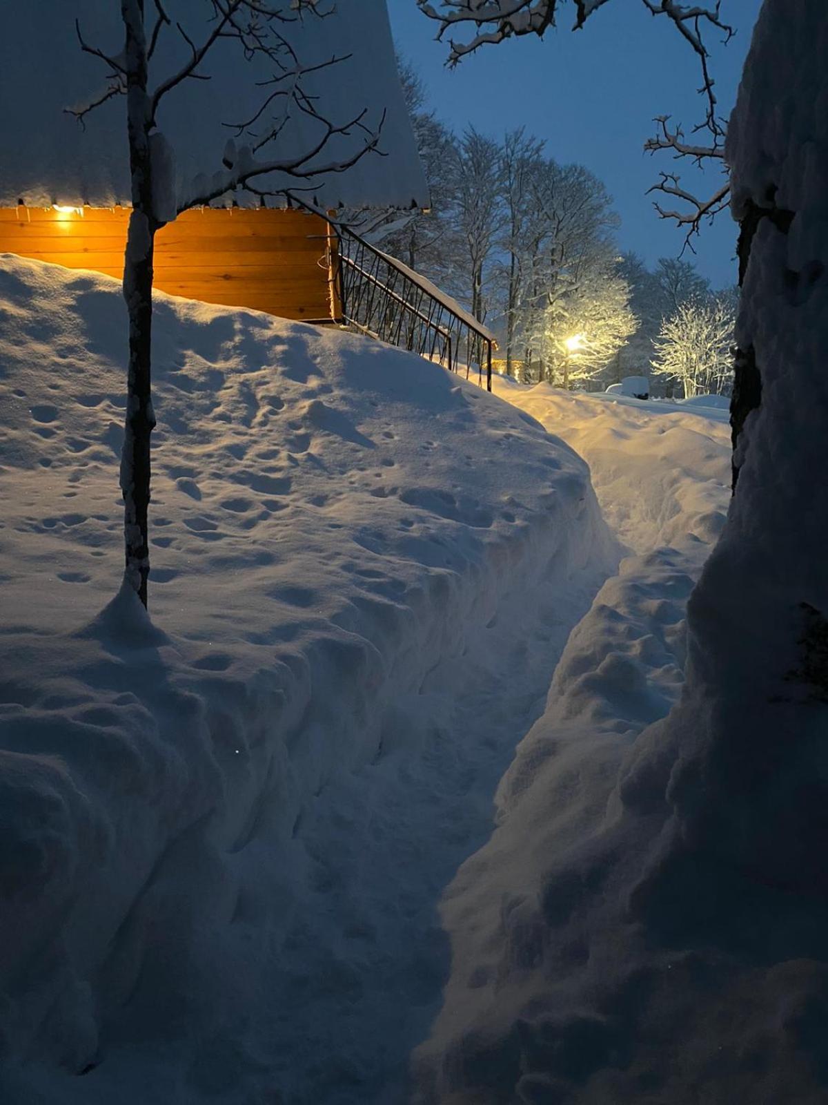 Vila Sun forest Žabljak Exterior foto