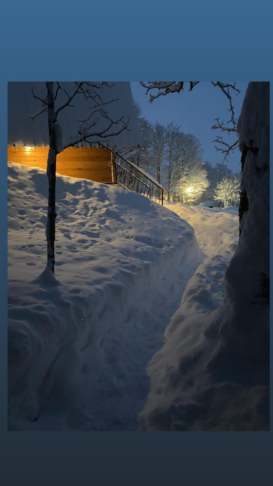 Vila Sun forest Žabljak Exterior foto