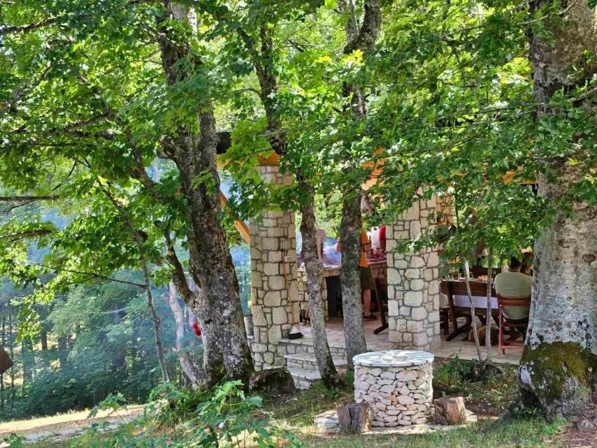 Vila Sun forest Žabljak Exterior foto